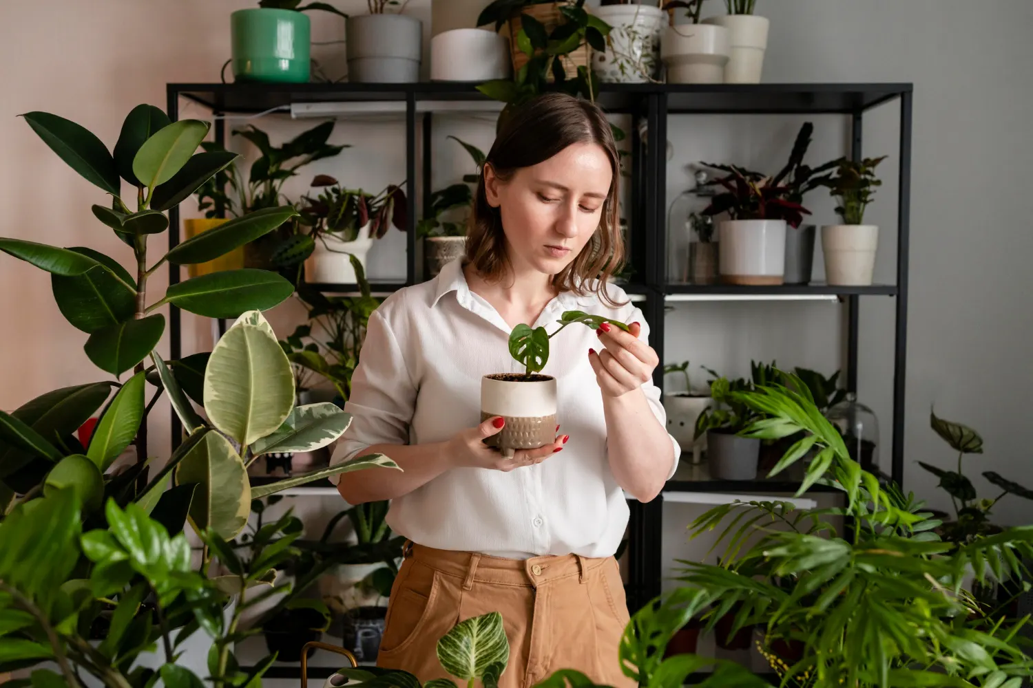 Decorating with Plants